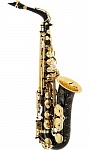 :Selmer Jubilee SA80II NGGO -