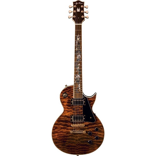 Jay Turser JT-220 SERPENT TE Электрогитара
