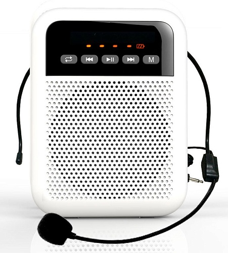LAudio WS-VA030 Переносной громкоговоритель для гида, 5 Вт
