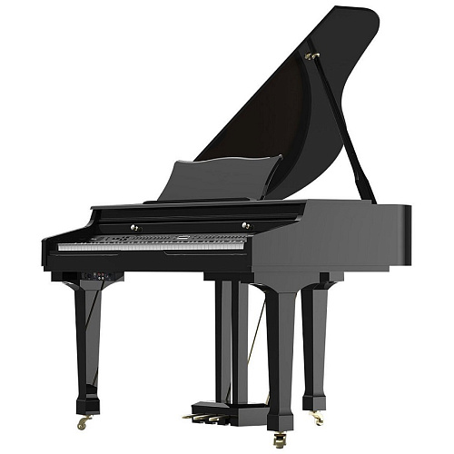 Ringway GDP6320 Polish Black Цифровой рояль