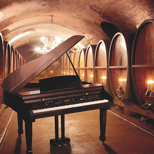 Orla Grand 450 Black Цифровой рояль