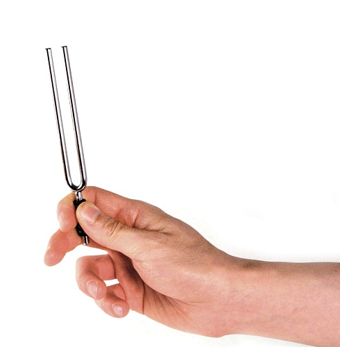 Planet Waves PWTF-A Tuning Fork Камертон вилка, строй ля (А)