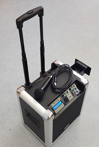 Soundking PA8M Портативная акустическая система