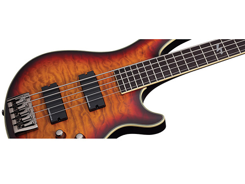 Schecter BLACKJACK ATX C-5 Бас-гитара электрическая