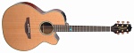 :TAKAMINE LEGACY TSF40C :  , 