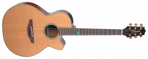 TAKAMINE LEGACY TSF40C Комплект: электроакустическая гитара, кейс