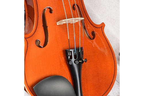 ANTONIO LAVAZZA VL-28L Скрипка 1/16