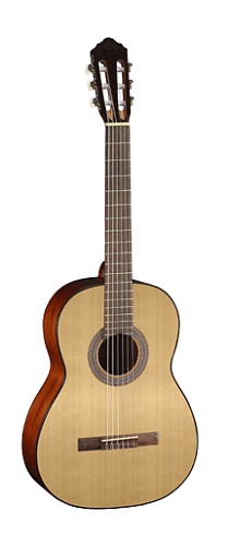 Parkwood PC90 Классическая гитара