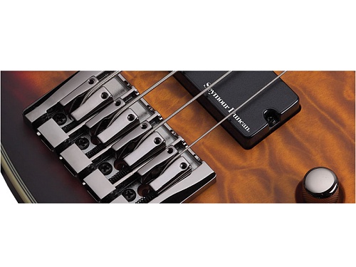Schecter BLACKJACK ATX C-4 Бас-гитара электрическая