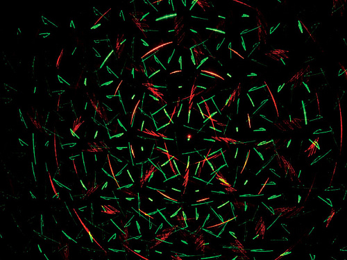 XLine DELTA Проекционный лазер