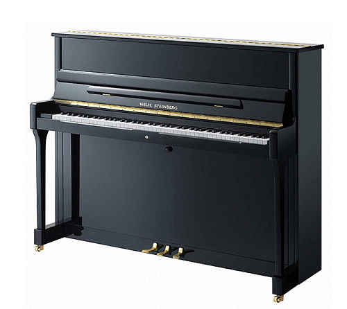 W.Steinberg 190014-1MK Performance P118 Акустическое пианино, черное