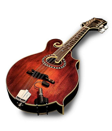 LR Baggs Radius-M Звукосниматель для мандолины, внешний