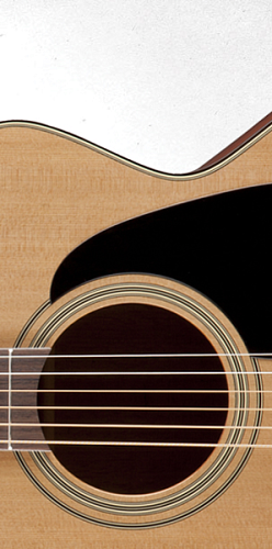 TAKAMINE PRO SERIES 1 P1JC Электроакустическая гитара с кейсом