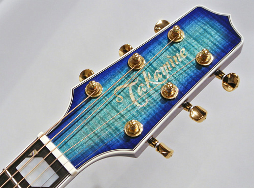 TAKAMINE TSP178ACSBB Электроакустическая гитара, в комплекте кейс