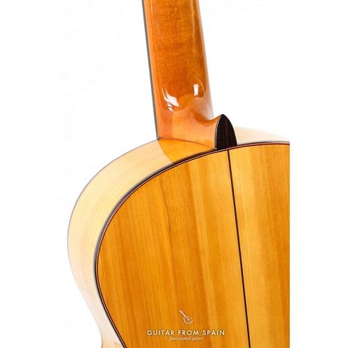 PRUDENCIO 22 Flamenco Guitar  