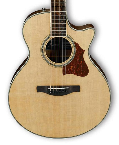 Ibanez AE205JR-OPN Акустическая гитара, чехол