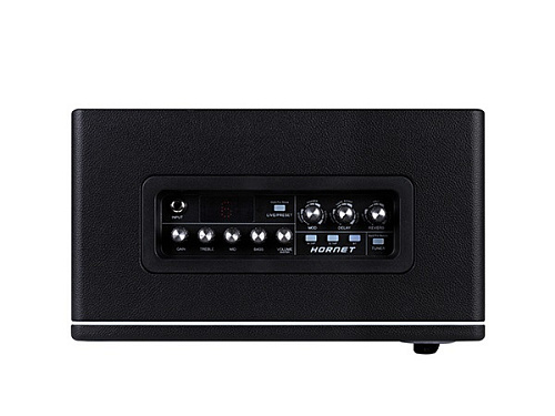 Mooer DH06-Hornet-30W-BK Комбоусилитель, 30 Вт