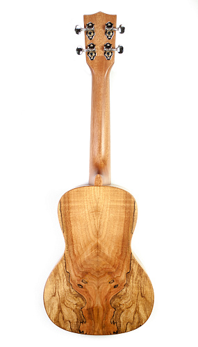 KALA KA-SMC Kala Spalted Maple Concert Ukulele Укулеле концерт