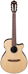 :IBANEZ AEG 50N-NT     