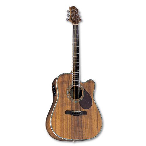 GregBennett D12CE   электроакустическая гитара