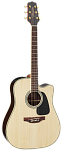 :TAKAMINE G50 SERIES GD51CE-NAT  