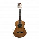 :Perez 620 Cedar LTD 2019  