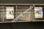 Фото:CRAFTER FEG-750/VLS-V Электрогитара с кейсом