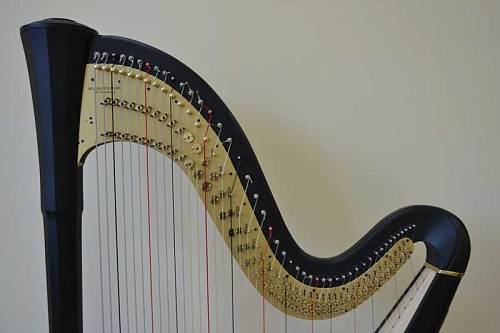 19004-C19 Арфа педальная, прямая дека, 46 струн, эбен, Срок изготовления 3 месяца, Resonance Harps