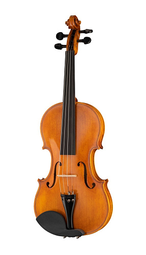 Hora V200-4/4 Elite Elite Скрипка модель "Elite" Bird Eye