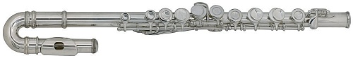 Roy Benson FL-102 флейта (детская)