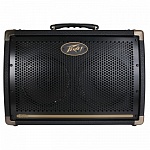 :Peavey Ecoustic E208    , 20 