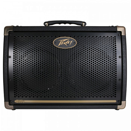 Peavey Ecoustic E208 Комбоусилитель для акустической гитары, 20 Вт