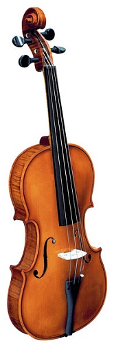 Strunal 1930-1/2 Концертная скрипка