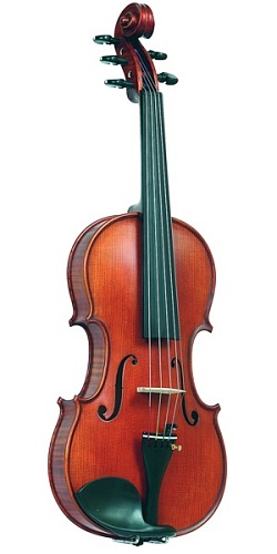 Gliga Gama P-V16-5 Пятиструнный альт