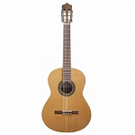 :Perez 610 Cedar LTD  