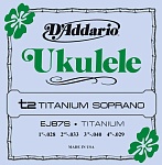 :D'Addario EJ87S Titanium     