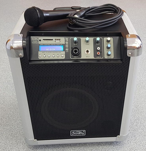Soundking PA8M Портативная акустическая система