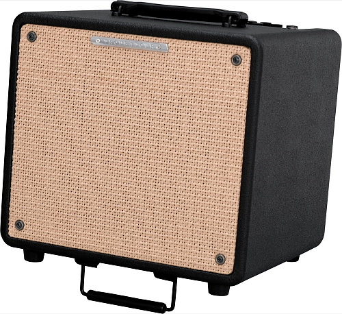 IBANEZ T80IISM TROUBADOUR ACOUSTIC COMBO Комбо для акустической гитары, 80 Вт
