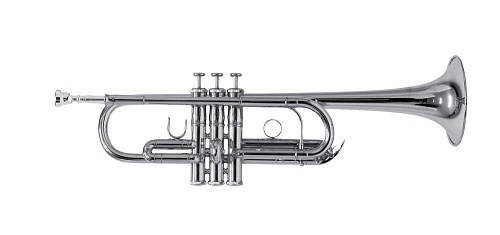 Roy Benson TR-402C S труба