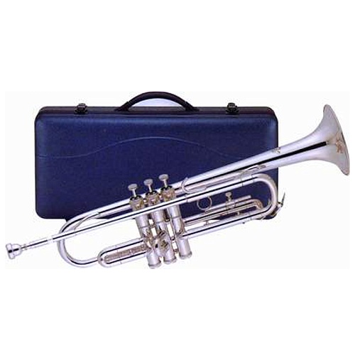 J.Michael TR-300S  Bb