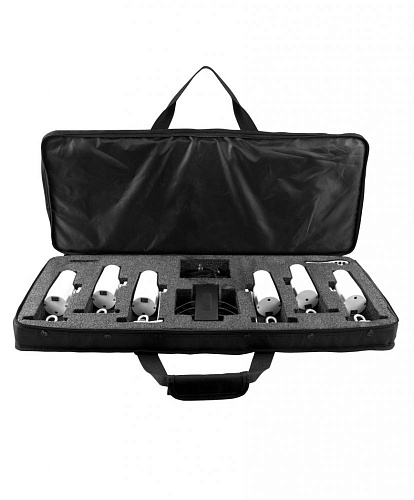 CHAUVET EZpin Pack Комплект: прожекторы EZpin, зарядное устройство, ИК-пульт, кейс