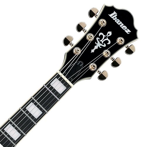 Ibanez AG95QA-DBS Полуакустическая гитара