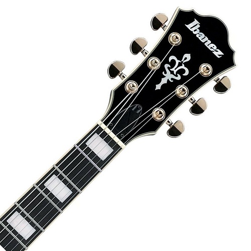 Ibanez AG95QA-DBS  