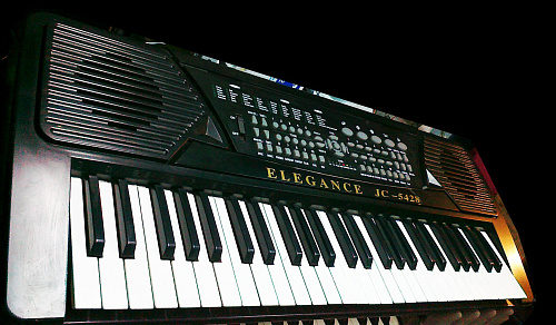 ELEGANCE JC-5428 Синтезатор, 54 клавиши