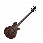 :Dean EVOXM BASS  -,  Les Paul,   