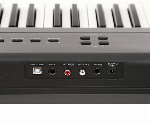 Artesia PA-88W Black Цифровое пианино