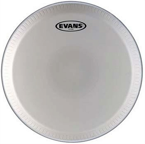 EVANS EC1175E Пластик для конго