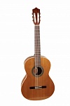 :PEREZ 620 Cedar  