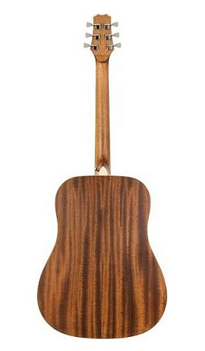 Peavey DW-1 w/Bag Гитара акустическая с чехлом