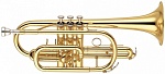 Фото:King 603 Корнет "Bb"